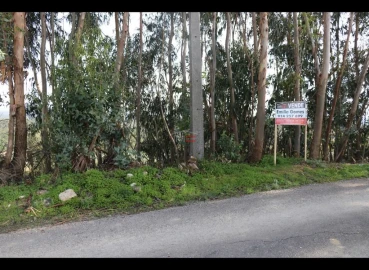 Terreno Misto para Venda em Alburitel