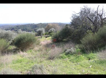 Terreno Misto para Venda em Alburitel