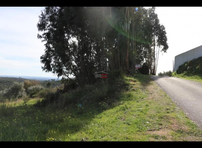 Terreno Misto para Venda em Alburitel Foto 4