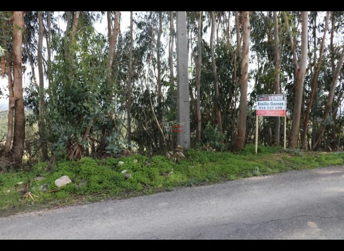 Terreno Misto para Venda em Alburitel Foto 6