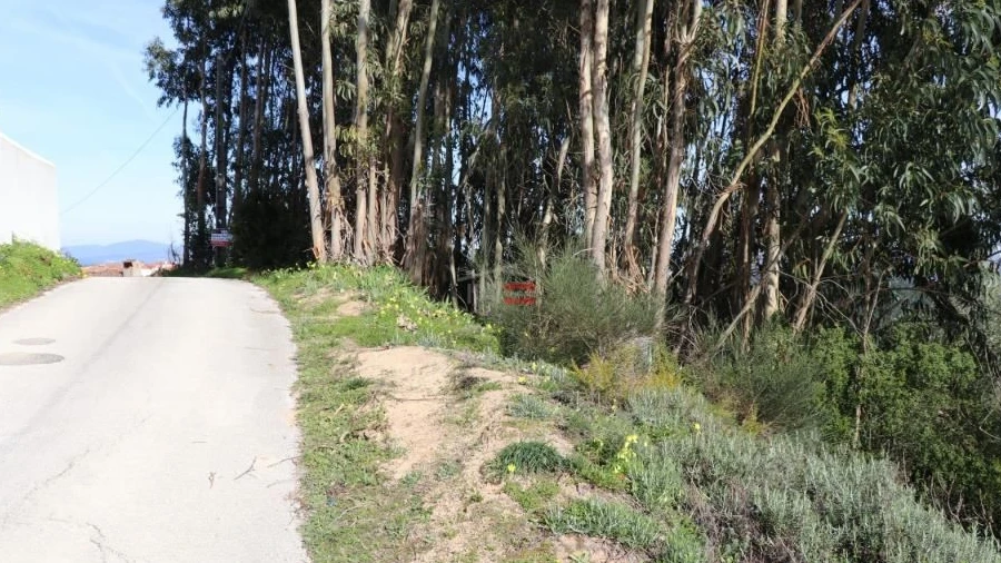 Terreno Misto para Venda em Alburitel