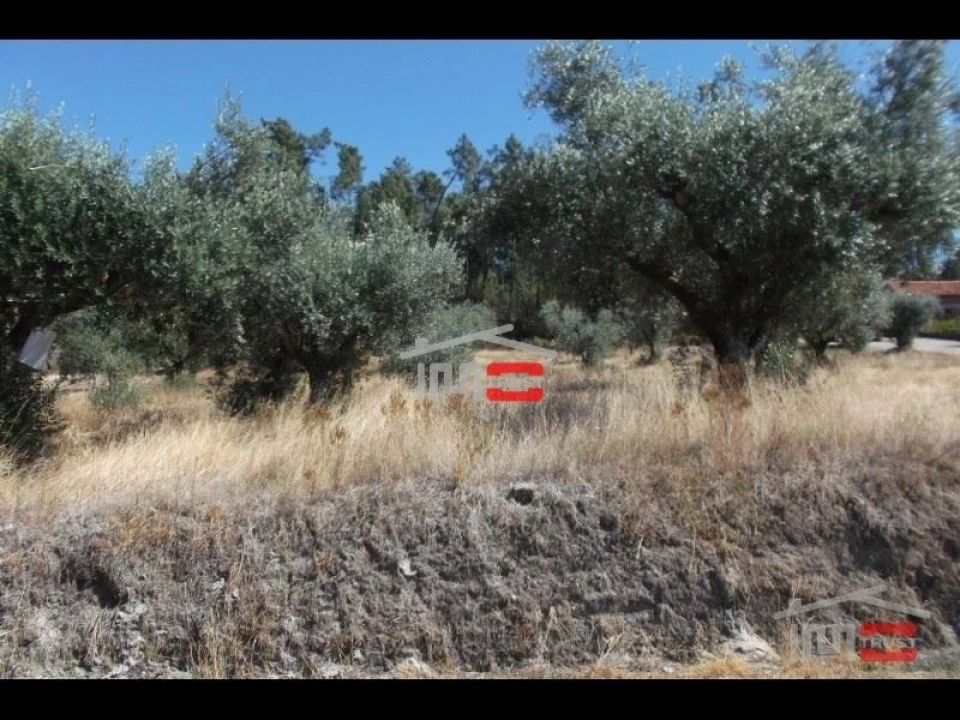 Terreno Misto para Venda em Seiça Foto 2