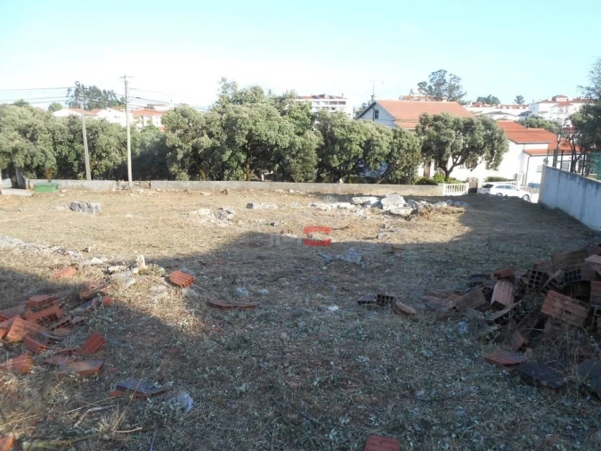 Terreno Misto para Venda em Fatima Foto 13