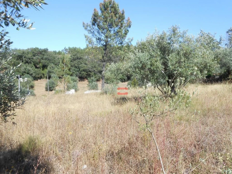 Terreno Misto para Venda em Santa Catarina da Serra e Chainça Foto 2