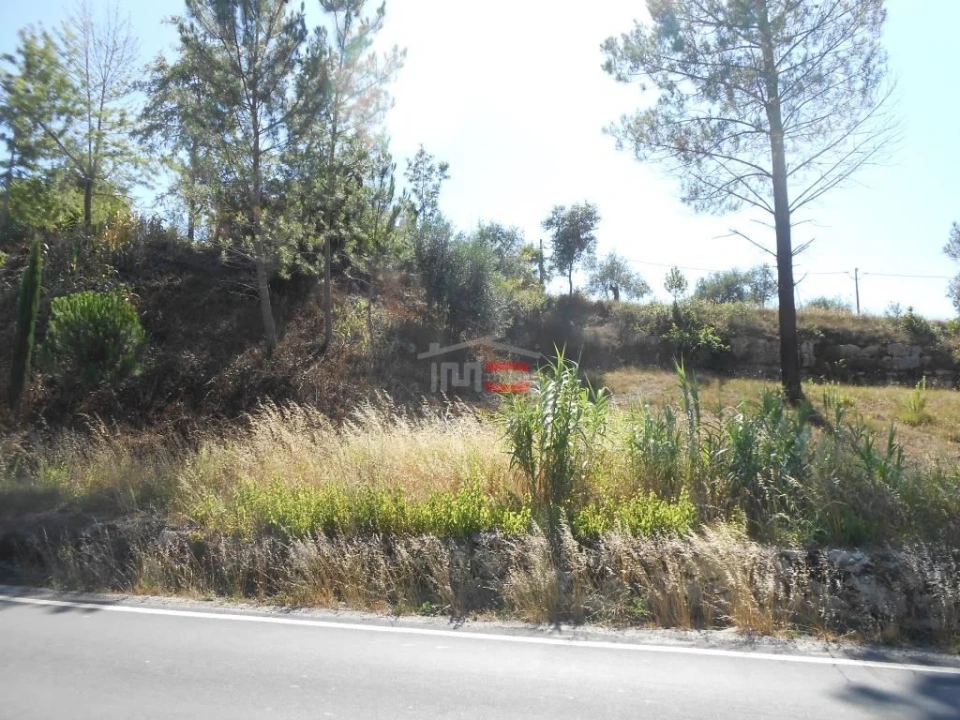 Terreno Misto para Venda em Santa Catarina da Serra e Chainça Foto 12