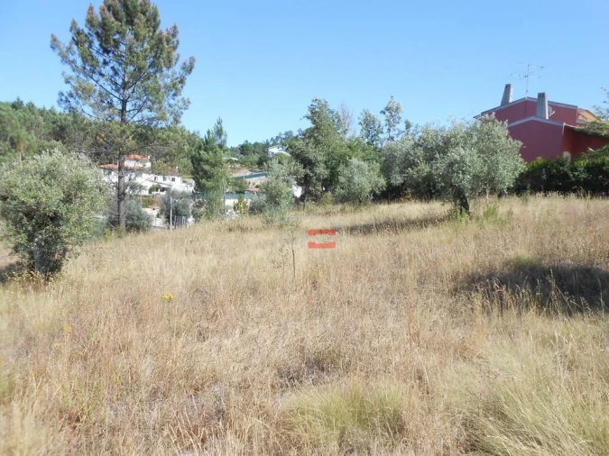 Terreno Misto para Venda em Santa Catarina da Serra e Chainça Foto 8