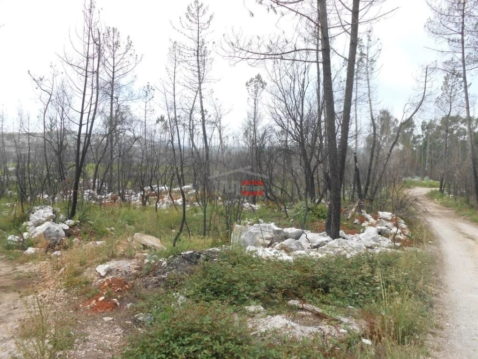 Terreno Misto para Venda em Fatima Foto 1