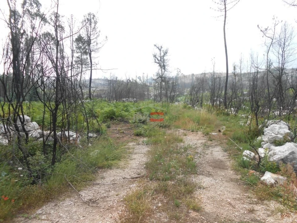 Terreno Misto para Venda em Fatima Foto 9