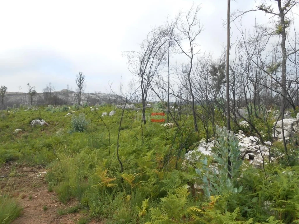 Terreno Misto para Venda em Fatima Foto 12