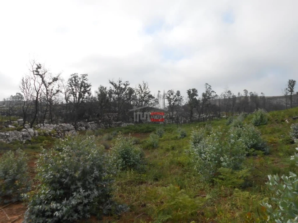 Terreno Misto para Venda em Fatima Foto 15