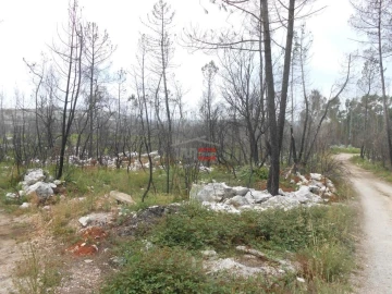 Terreno Misto para Venda em Fatima
