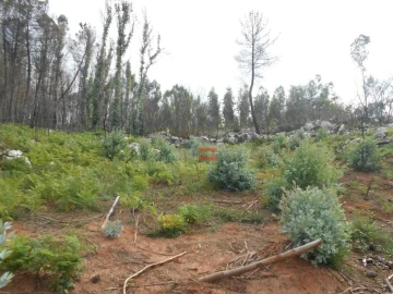 Terreno Misto para Venda em Fatima