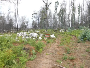 Terreno Misto para Venda em Fatima