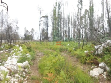 Terreno Misto para Venda em Fatima