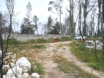 Terreno Misto para Venda em Fatima