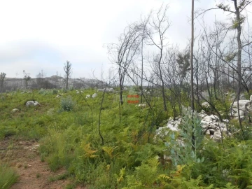 Terreno Misto para Venda em Fatima