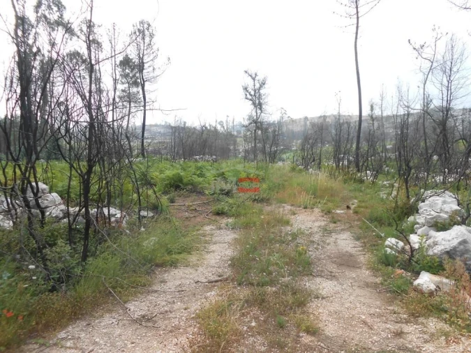 Terreno Misto para Venda em Fatima Foto 9