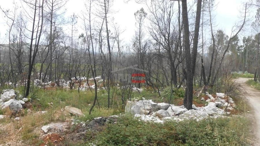 Terreno Misto para Venda em Fatima