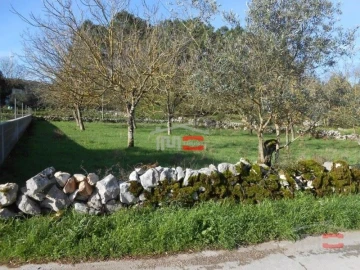 Terreno Misto para Venda em Fatima