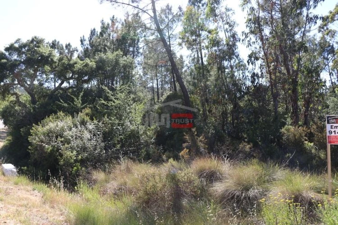 Terreno Misto para Venda em Sabacheira Foto 3