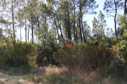 Terreno Misto para Venda em Sabacheira