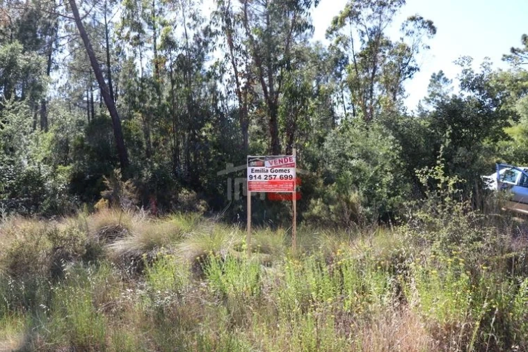 Terreno Misto para Venda em Sabacheira Foto 2