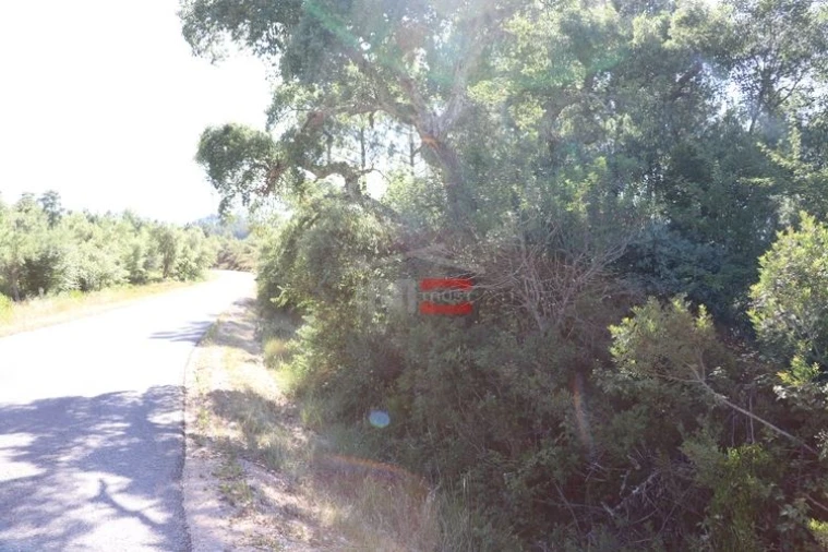 Terreno Misto para Venda em Sabacheira Foto 4