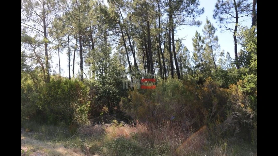 Terreno Misto para Venda em Sabacheira
