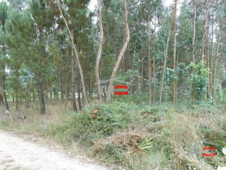 Terreno Misto para Venda em Santa Catarina da Serra e Chainça Foto 2