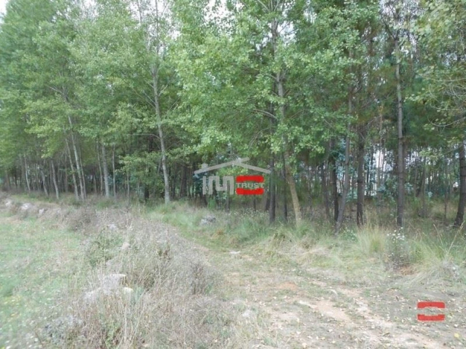 Terreno Misto para Venda em Santa Catarina da Serra e Chainça Foto 8