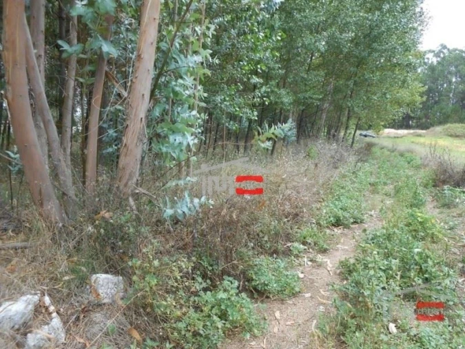 Terreno Misto para Venda em Santa Catarina da Serra e Chainça Foto 3