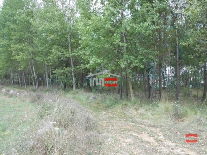 Terreno Misto para Venda em Santa Catarina da Serra e Chainça Foto 8