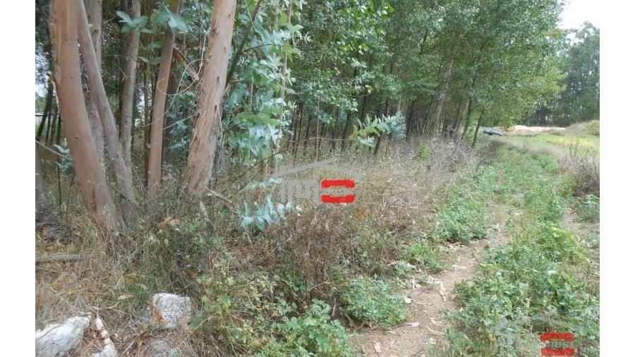 Terreno Misto para Venda em Santa Catarina da Serra e Chainça