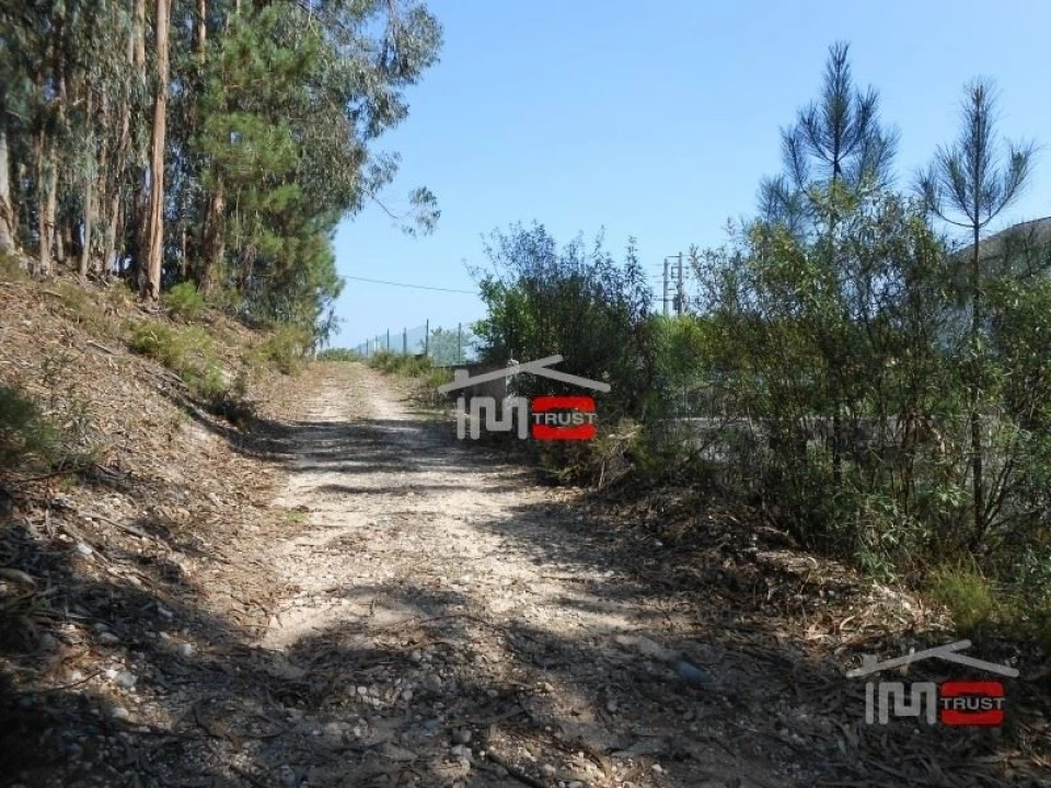 Terreno Misto para Venda em Nossa Senhora da Piedade Foto 6