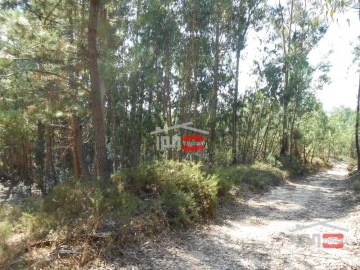 Terreno Misto para Venda em Nossa Senhora da Piedade