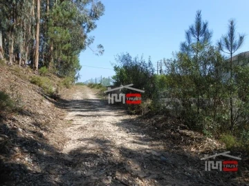 Terreno Misto para Venda em Nossa Senhora da Piedade