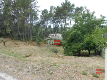 Terreno Misto para Venda em São Mamede
