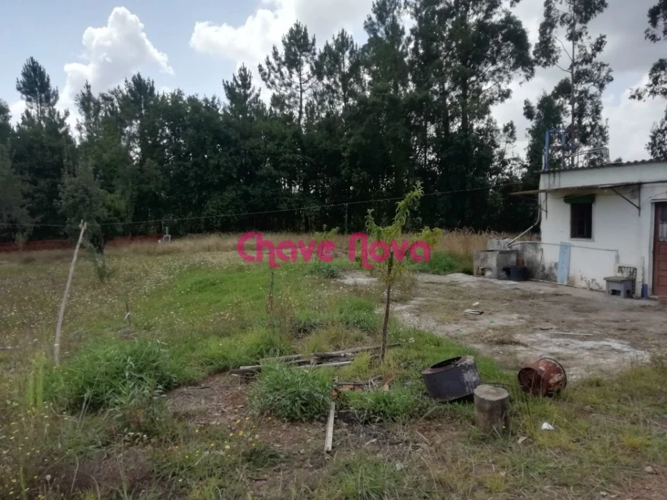 Terreno Misto para Venda em Fânzeres e São Pedro da Cova Foto 5
