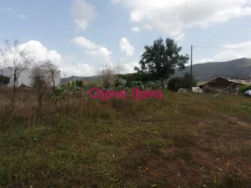 Terreno Misto para Venda em Fânzeres e São Pedro da Cova