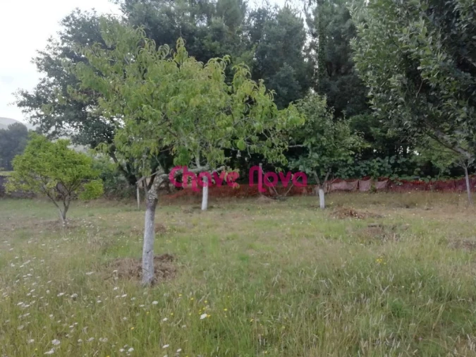 Terreno Misto para Venda em Fânzeres e São Pedro da Cova Foto 11