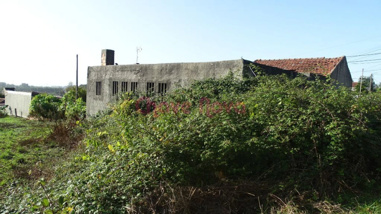 Terreno Misto para Venda em Nogueira da Regedoura Foto 1