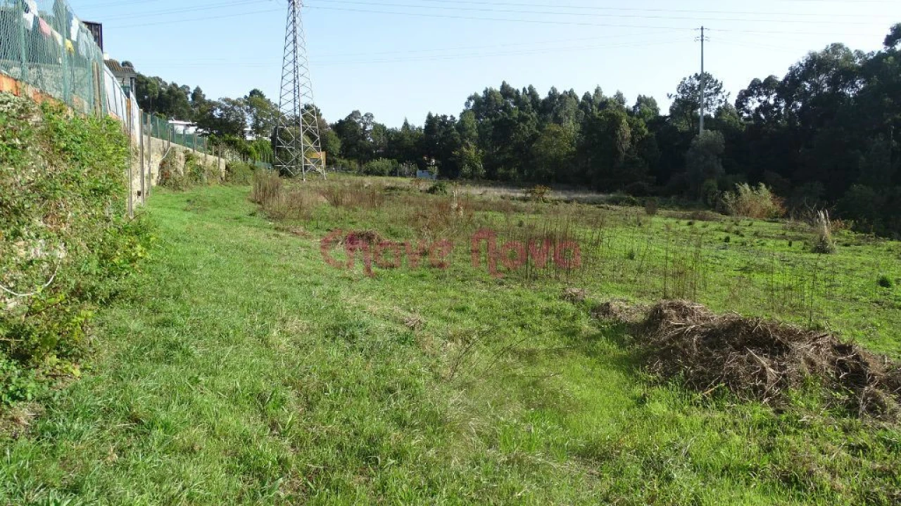 Terreno Misto para Venda em Nogueira da Regedoura Foto 2