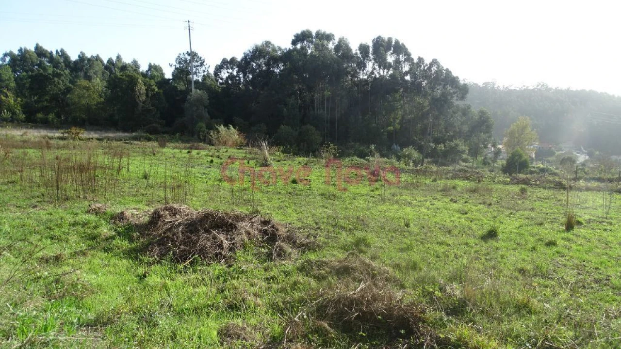 Terreno Misto para Venda em Nogueira da Regedoura Foto 3