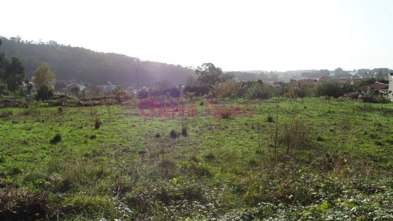 Terreno Misto para Venda em Nogueira da Regedoura Foto 4