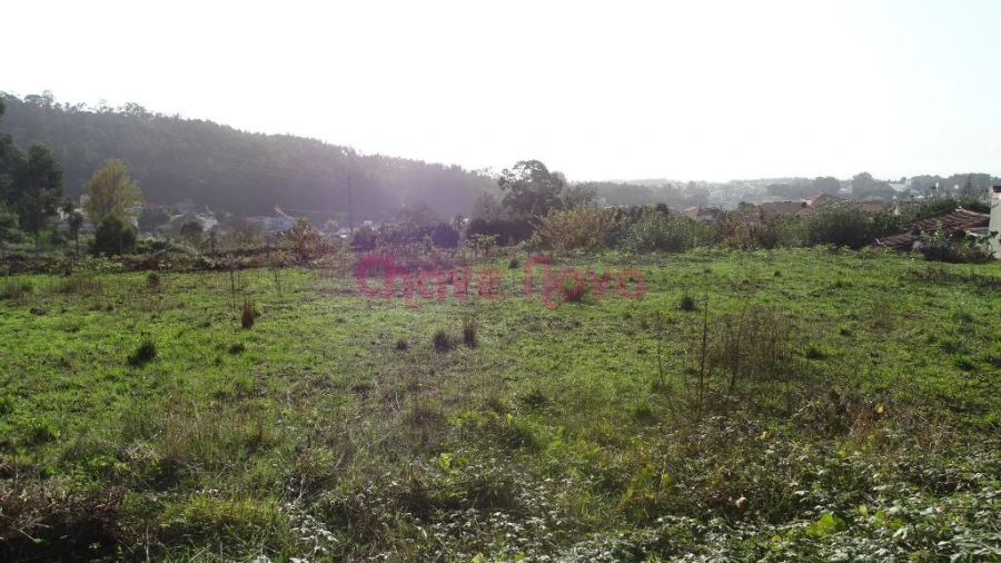 Terreno Misto para Venda em Nogueira da Regedoura Foto 4