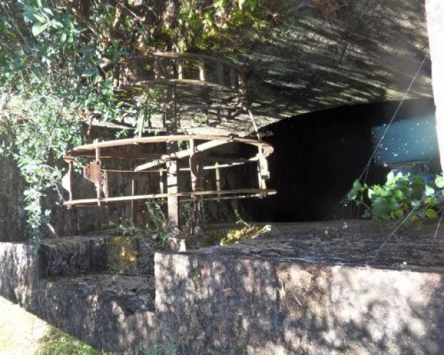 Terreno Misto para Venda em Ourique Foto 4