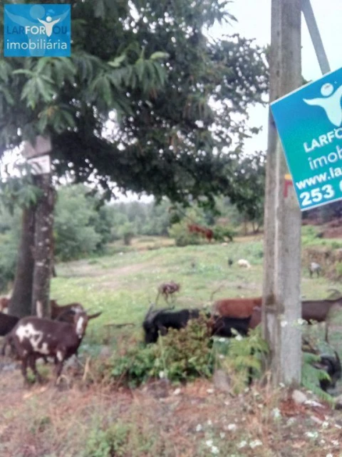 Terreno P/ Prédio para Venda em Povoa de Lanhoso (N. Senhora do Amparo)