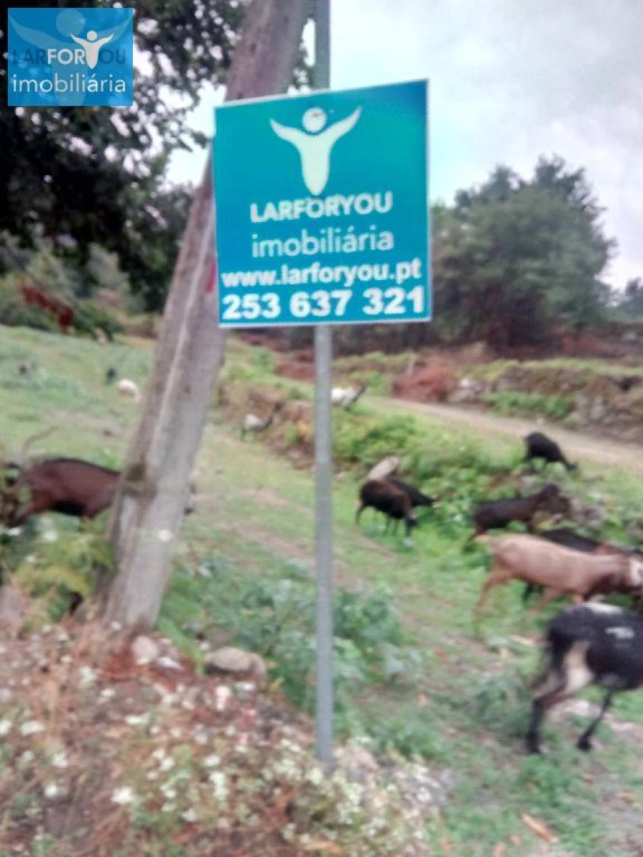 Terreno P/ Prédio para Venda em Povoa de Lanhoso (N. Senhora do Amparo) Foto 3