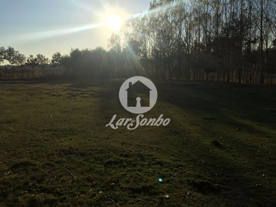 Terreno Misto para Venda em Cristelos, Boim e Ordem Foto 5