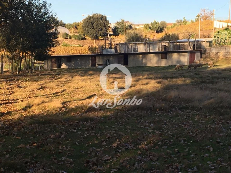 Terreno Misto para Venda em Cristelos, Boim e Ordem Foto 9